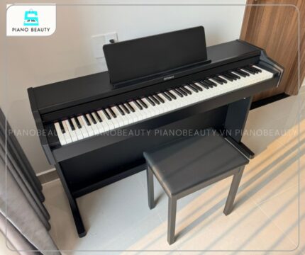 Đàn Piano Điện Roland HP107