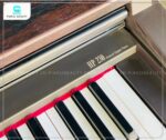Đàn Piano Điện Roland HP230