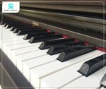 Đàn Piano Điện Roland HP230