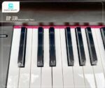 Đàn Piano Điện Roland HP330