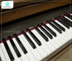 Đàn Piano Điện Roland HP3800