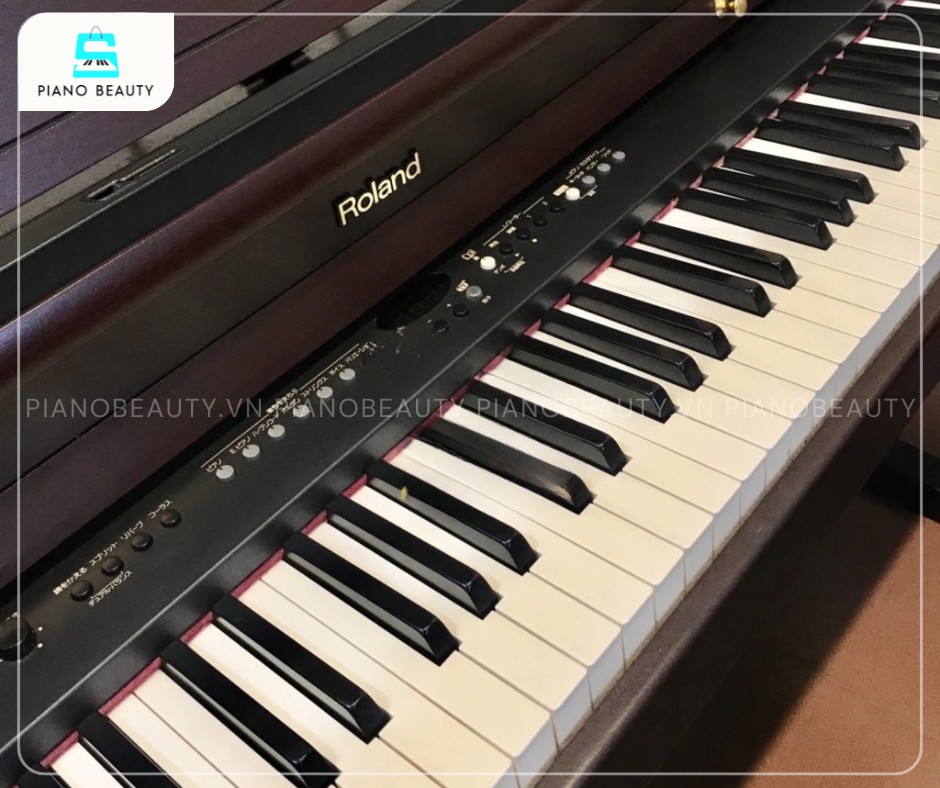 Đàn Piano Điện Roland HP7DMH được trang bị bàn phím Progressive Hammer-Action