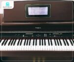 Đàn Piano Điện Roland HP7DMH