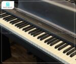 Đàn piano điện Yamaha P95 phù hợp luyện tập và biểu diễn bán chuyên