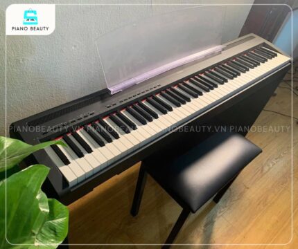 Đàn piano điện Yamaha P95 phù hợp với nhiều không gian
