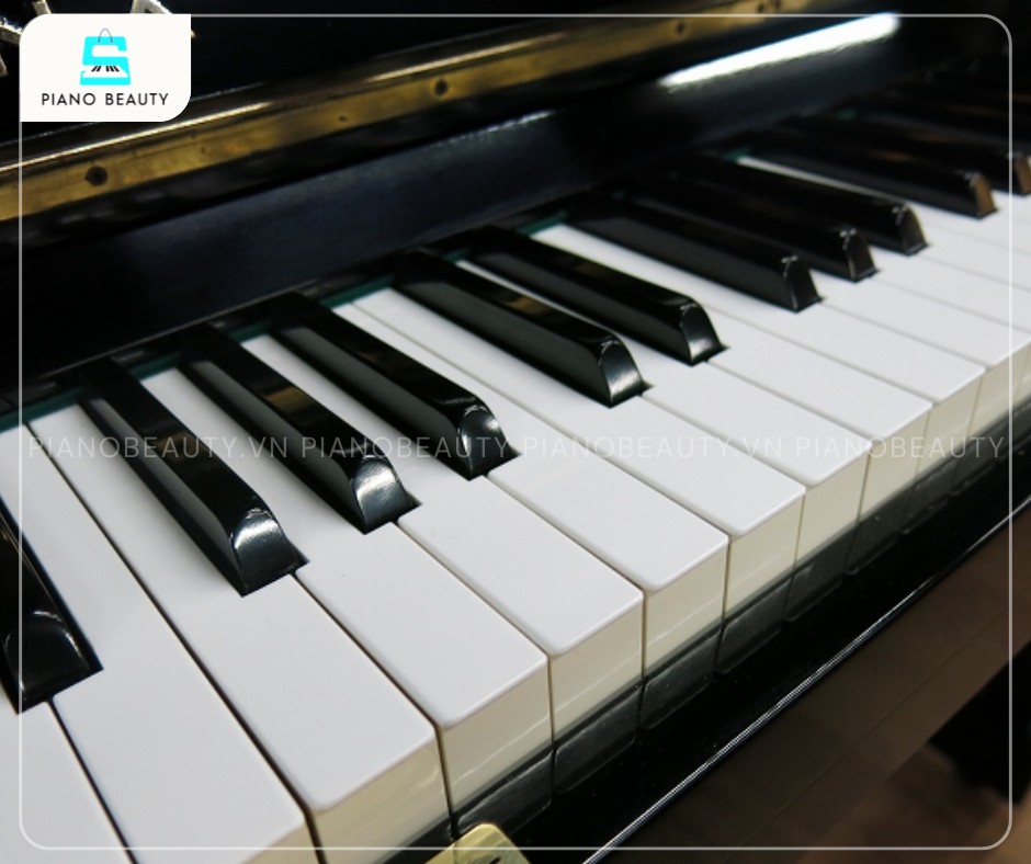 Đàn Piano Eterna 1 có bàn phím mang lại độ nhạy và phản hồi nhanh chóng