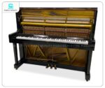Đàn Piano Eterna 1