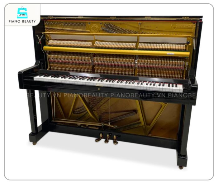 Đàn Piano Eterna 1