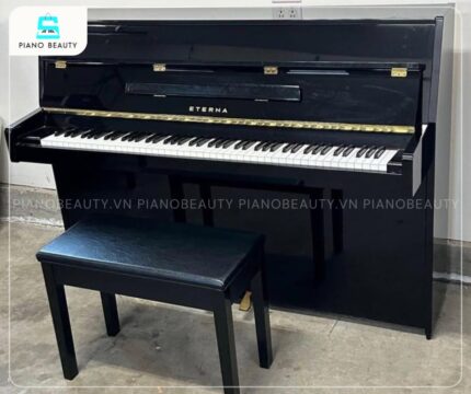Đàn Piano Eterna 10 là mẫu đàn piano cơ upright chất lượng