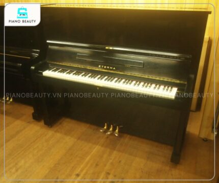 Đàn Piano Eterna 35 có tiếng đàn thể hiện sự đầy đặn, ấm áp
