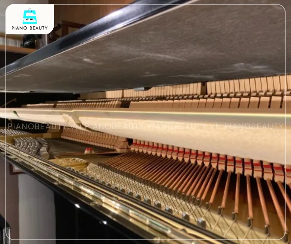 Đàn Piano Kaiser K10 có dây đàn được làm từ thép cao cấp không gỉ