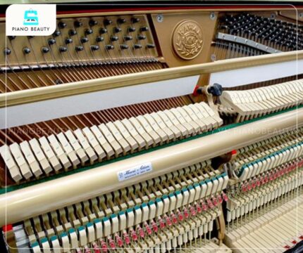 Đàn Piano Kawai BS10 có chất âm giàu độ ngân và hoàn toàn không có tạp âm kim loại khó chịu