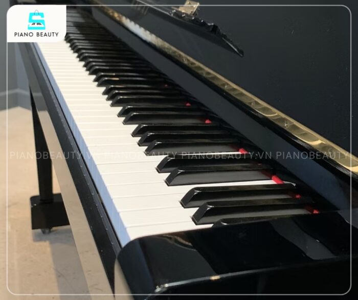 Đàn Piano Kawai CX5H sở hữu phím tiêu chuẩn với 88 phím của đàn được làm từ chất liệu Acrylic/Phenol cao cấp