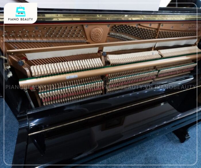 Đàn Piano Kawai DS60 gây ấn tượng với âm thanh chân thực