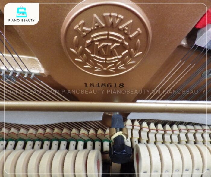 Đàn Piano Kawai DS80 có âm thanh mang lại cảm giác âm vang tương tự như khi chơi trên một cây đại dương cầm