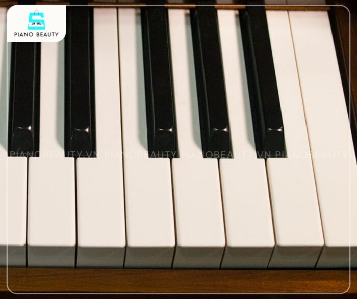 Đàn Piano Kawai KL32WG với bàn phím cho phép người chơi kiểm soát hoàn hảo cường độ âm thanh chỉ bằng lực nhấn