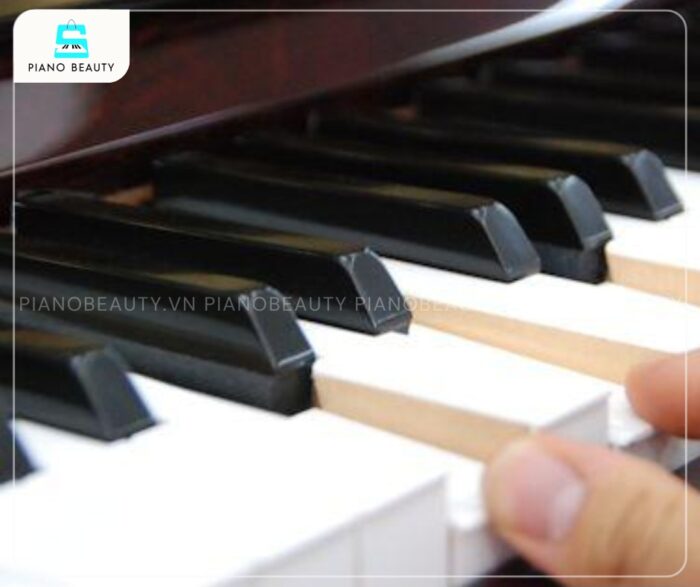 Đàn Piano Kawai KL65B với 88 phím có độ nhạy và phản hồi nhanh chóng, được đánh giá cao
