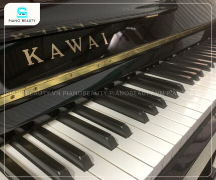 Đàn Piano Kawai KS1A được trang bị 88 phím đàn tiêu chuẩn, với sự cân bằng hoàn hảo về độ nặng và độ nhạy
