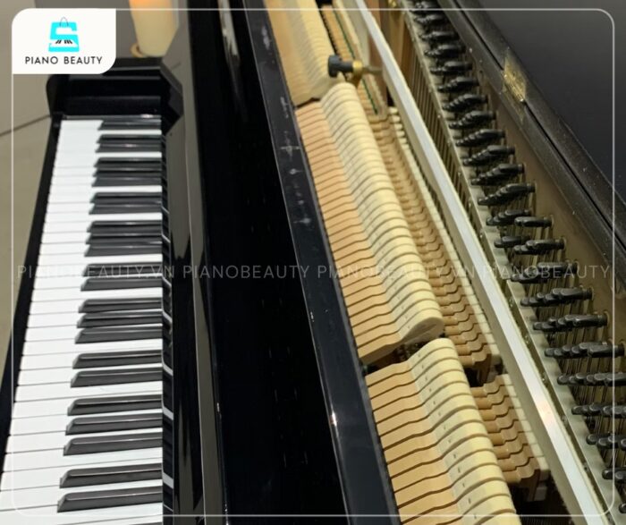 Đàn Piano Kawai KST2 mang đến chất âm ấm áp, đầy đặn và giàu biểu cảm