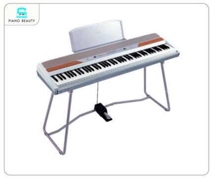Đàn Piano Korg SP250