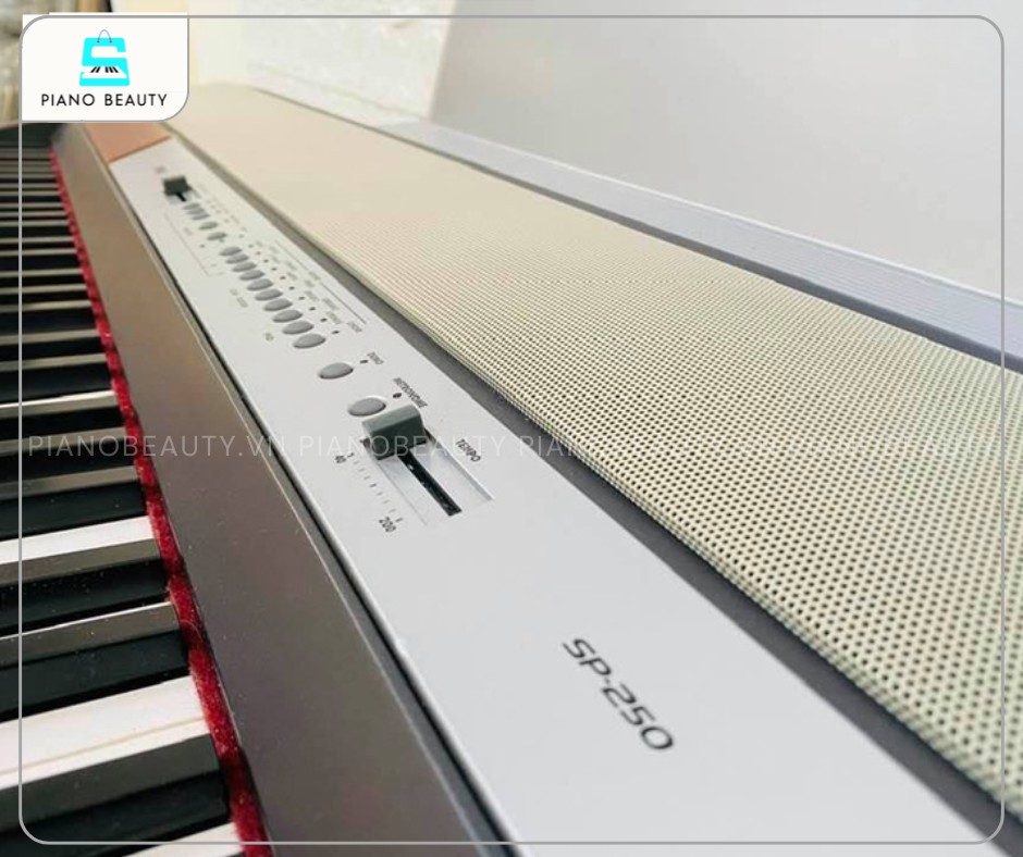 Tính năng nổi bật của đàn Piano Korg SP250