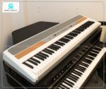 Trường hợp nào nên mua đàn Piano Korg SP250