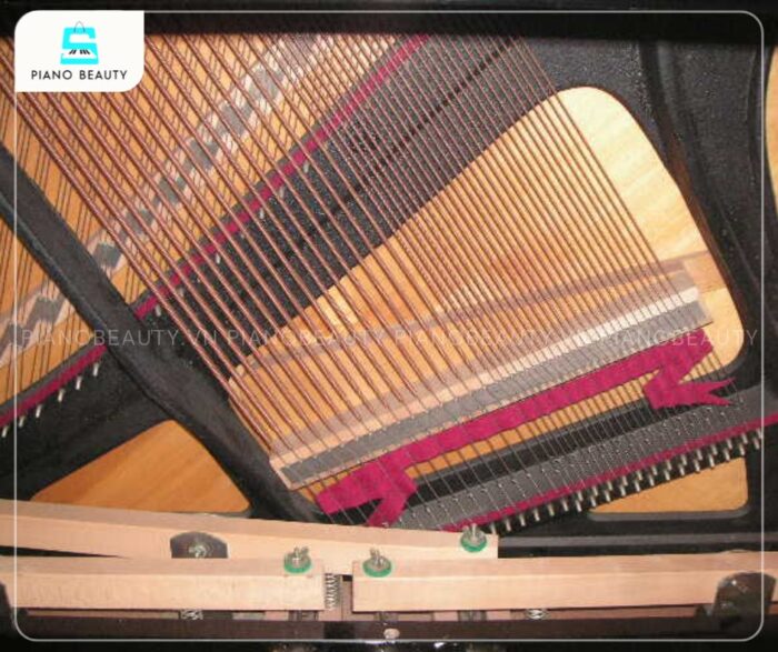 Đàn Piano Kraus U127 nổi bật với chất lượng âm thanh vượt trội, âm sắc phong phú