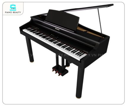 Đàn Piano Roland RG 1FSB