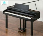 Đàn Piano Roland RG 1FSB
