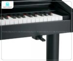 Đàn Piano Roland RG 1FSB