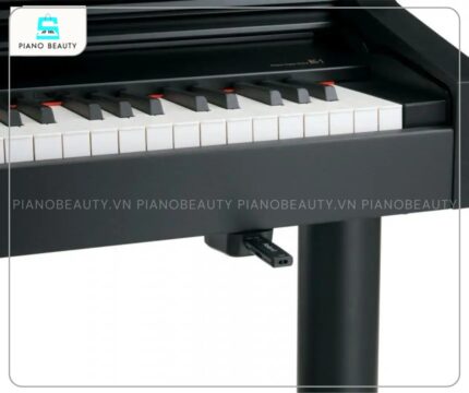 Đàn Piano Roland RG 1FSB