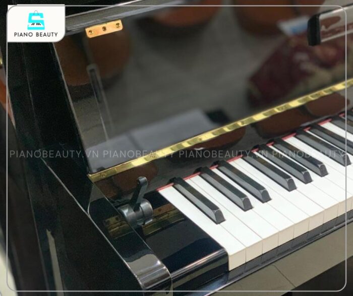 Đàn Piano Yamaha DUP10