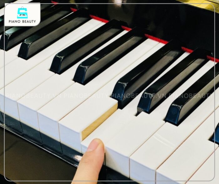 Đàn Piano Yamaha DUP20