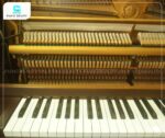 Đàn Piano Yamaha M1A được chế tác từ những vật liệu cao cấp