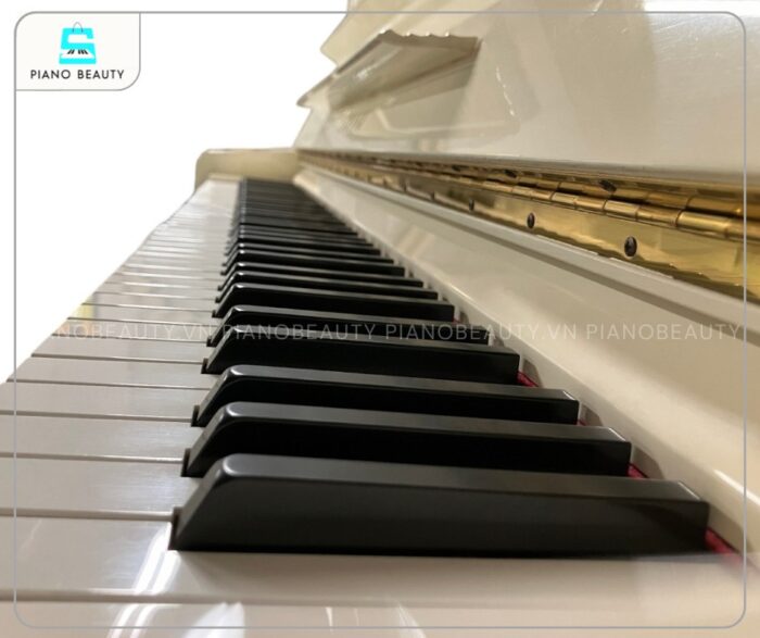 Đàn Piano Yamaha MX202. sở hữu bộ bàn phím cao cấp được thiết kế với trọng lượng phím tương tự đàn piano cơ