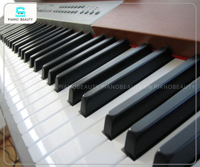 Đàn Piano Yamaha P120