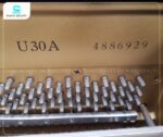 Đàn Piano Yamaha U30A mang đến chất âm trong trẻo và vang vọng