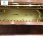 Đàn Piano Yamaha U30Wn sở hữu vẻ đẹp cổ điển, sang trọng
