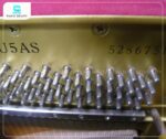 Đàn Piano Yamaha U5AS mang đến âm thanh mạnh mẽ, vang dội