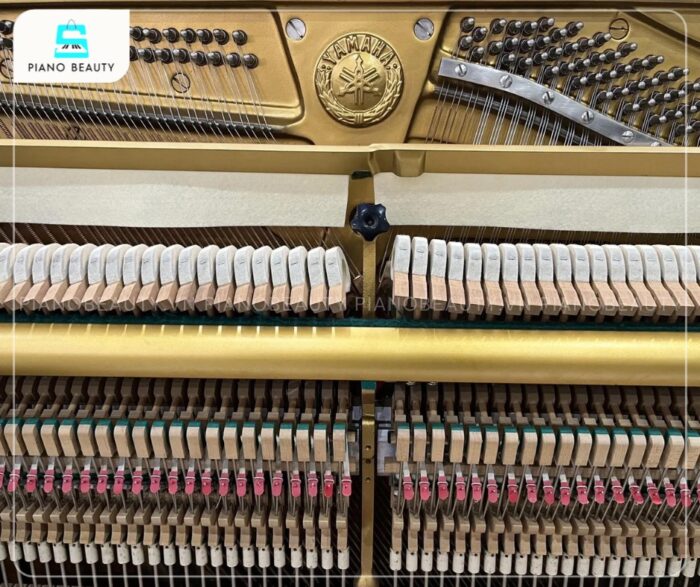 Đàn Piano Yamaha U5H mang đến âm thanh phong phú, ấm áp, trong trẻo và vang xa