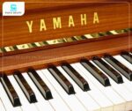 Đàn Piano Yamaha U7A được trang bị đầy đủ 88 phím, trong đó phím trắng được chế tác từ vật liệu đặc trưng của Yamaha