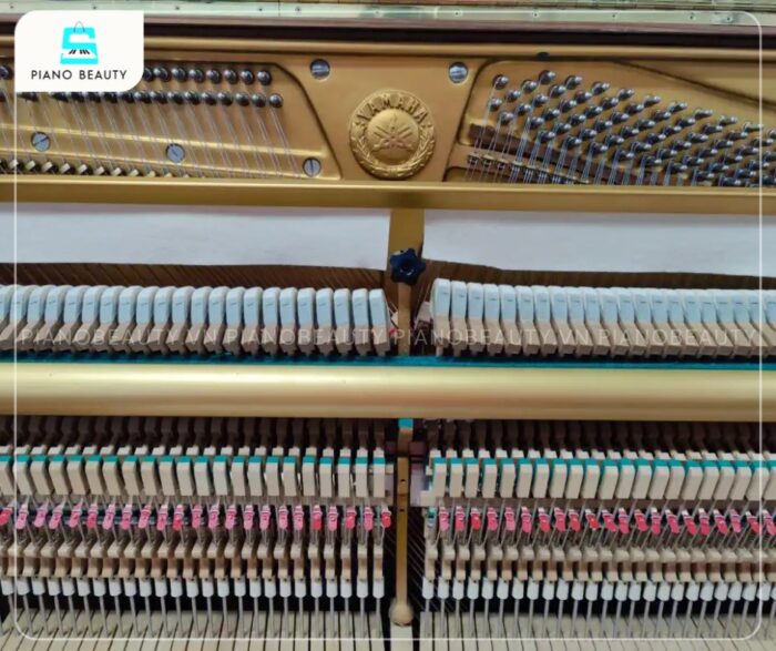 Đàn Piano Yamaha U7C có sự cân bằng hoàn hảo giữa dải âm trầm (bass) và âm cao (treble).