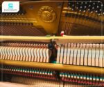 Đàn Piano Yamaha U7H sở hữu búa đàn làm từ lông cừu 100%