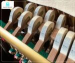 Lông cừu tự nhiên được lựa chọn cẩn thận cho búa đàn của Đàn Piano Yamaha W105