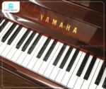 Đàn Piano Yamaha W3AMhC có bàn phím được chế tác từ gỗ tự nhiên