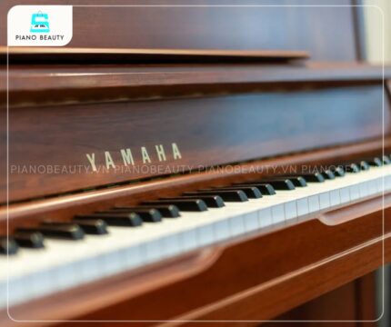 Đàn Piano Yamaha WX1AWn có các phím trắng làm từ chất liệu Acrypet và phím đen làm từ Phenol