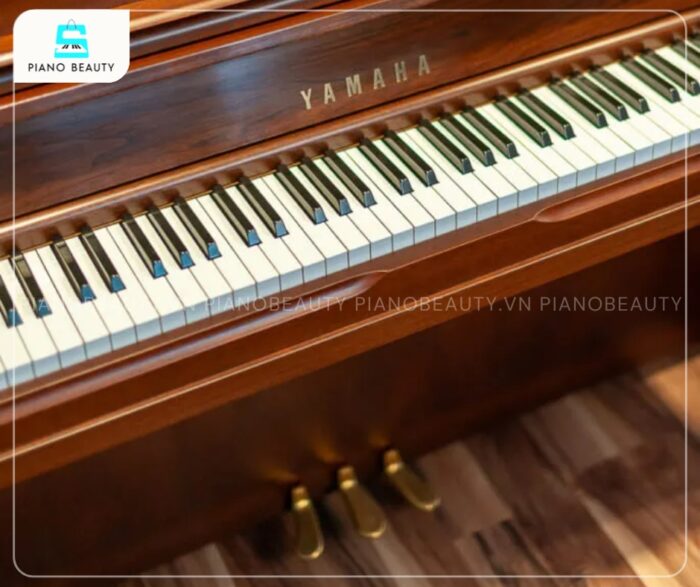 Đàn Piano Yamaha WX1AWn được trang bị bàn phím tiêu chuẩn 88 phím