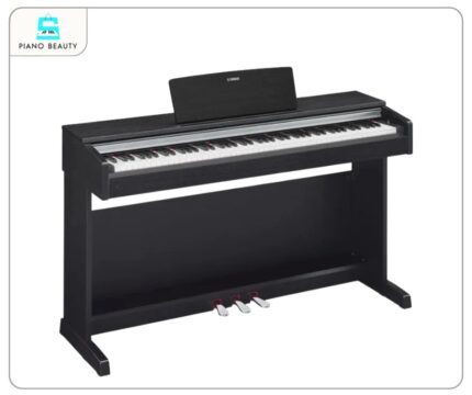 Đàn Piano Yamaha YDP142