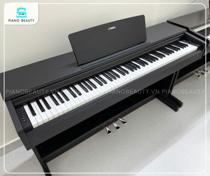 Đàn Piano Yamaha YDP142