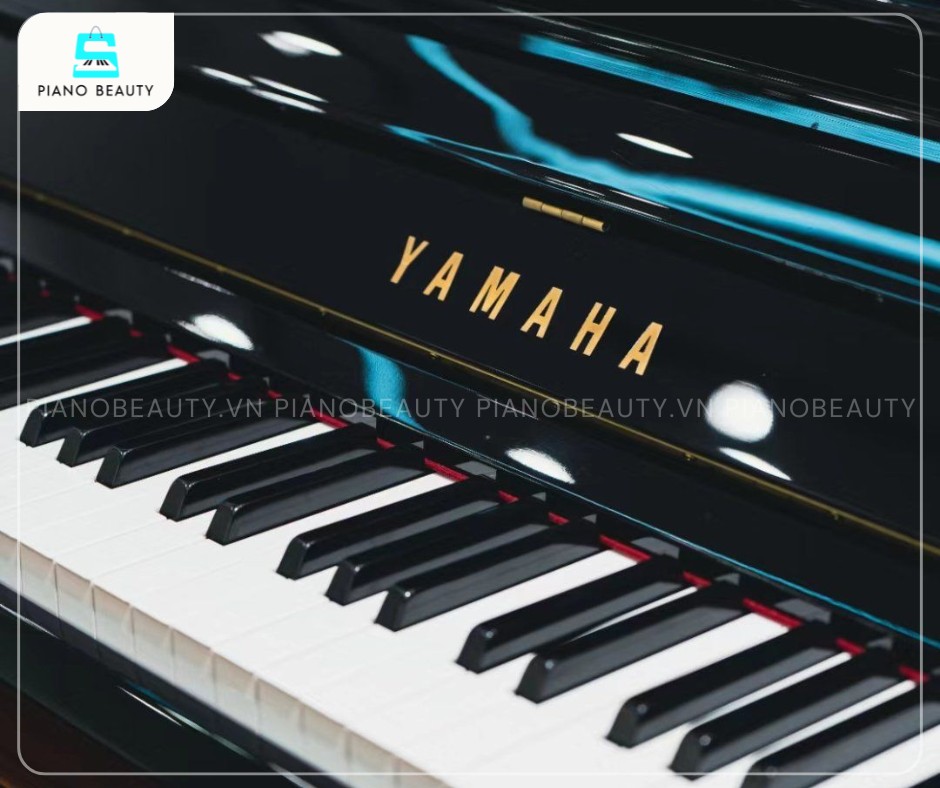 Bàn phím của YUX có 88 phím, được thiết kế để mang lại độ nhạy cao và cảm giác chạm phím mượt mà, êm ái